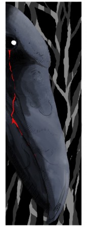 corbeau.jpg